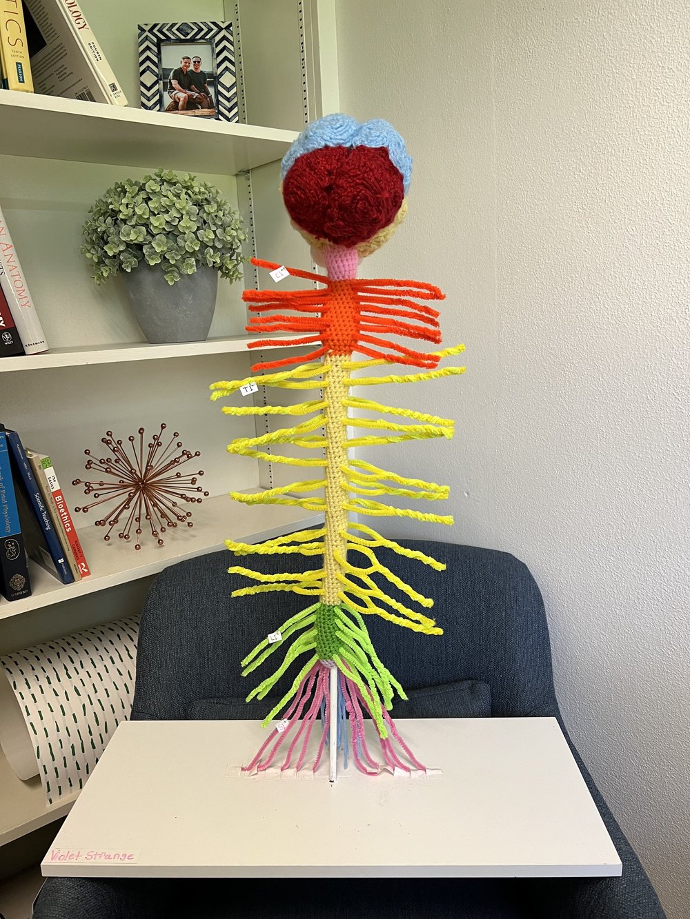 Student Not-Test project
