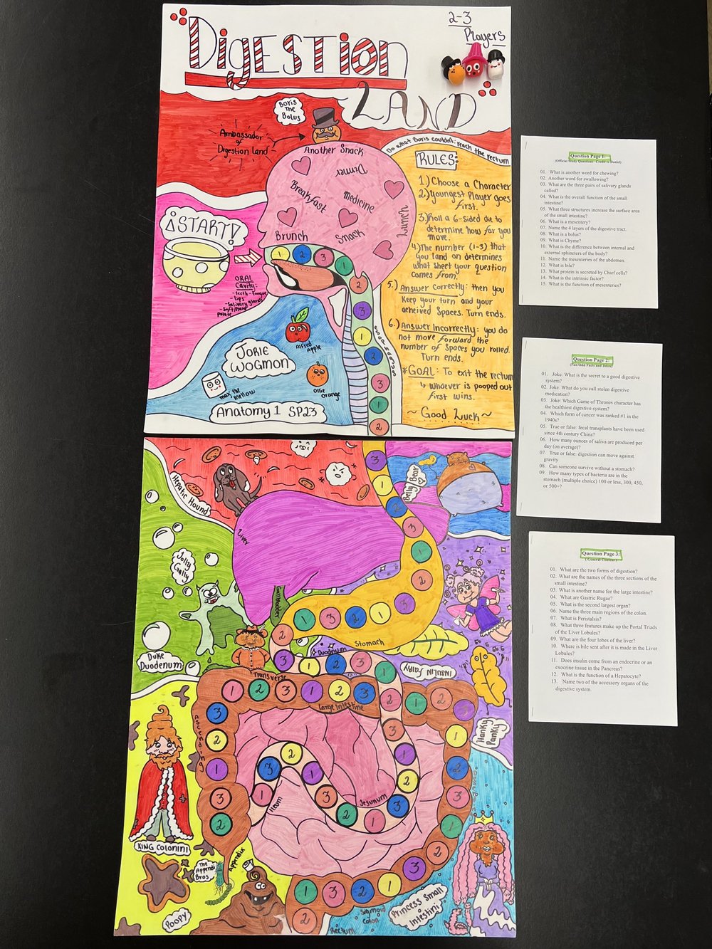 Digestion Land board game both parts