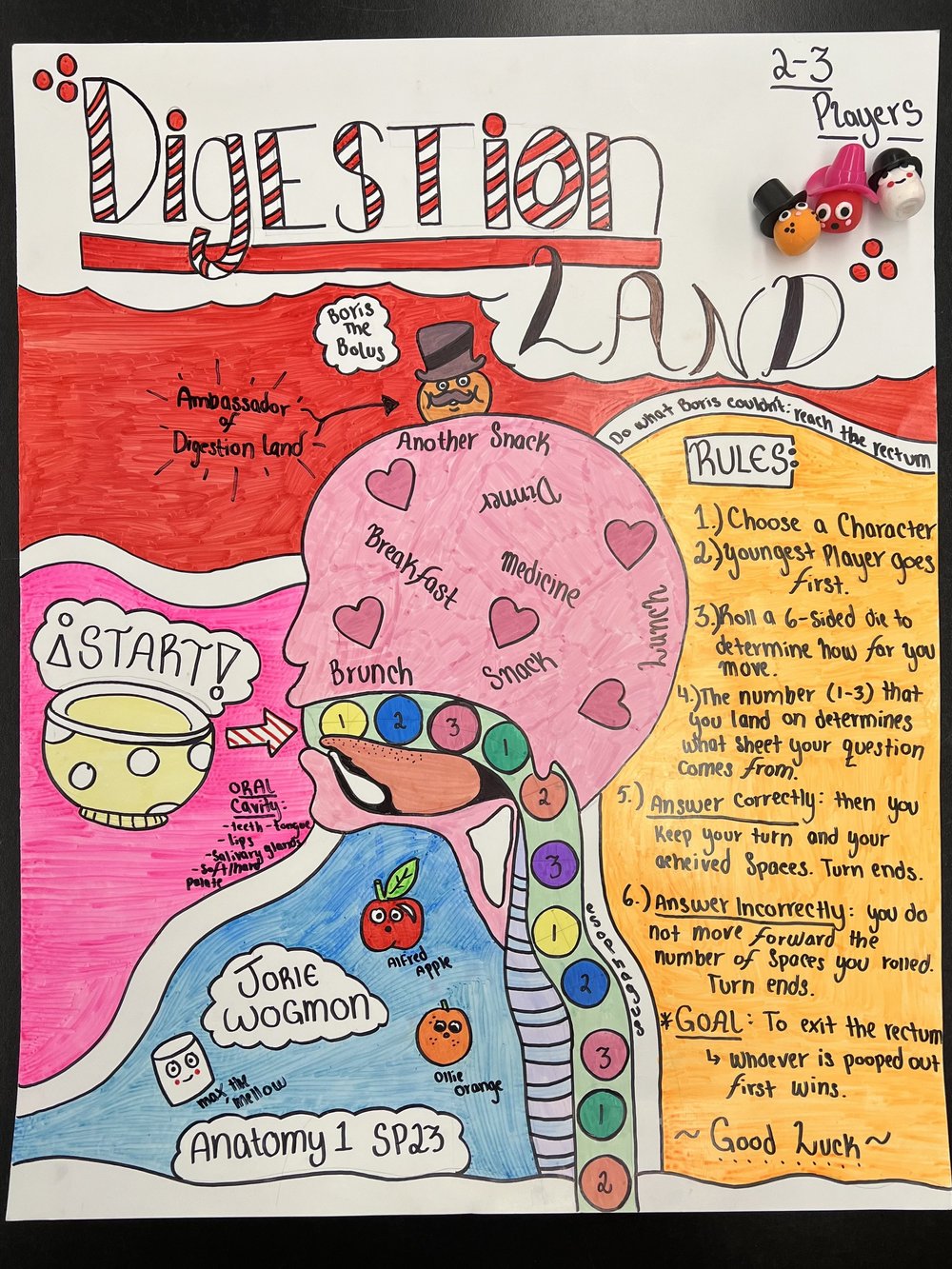 Digestion Land board game part 1