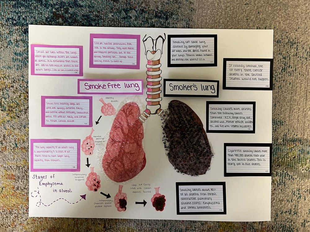 Student Not-Test project