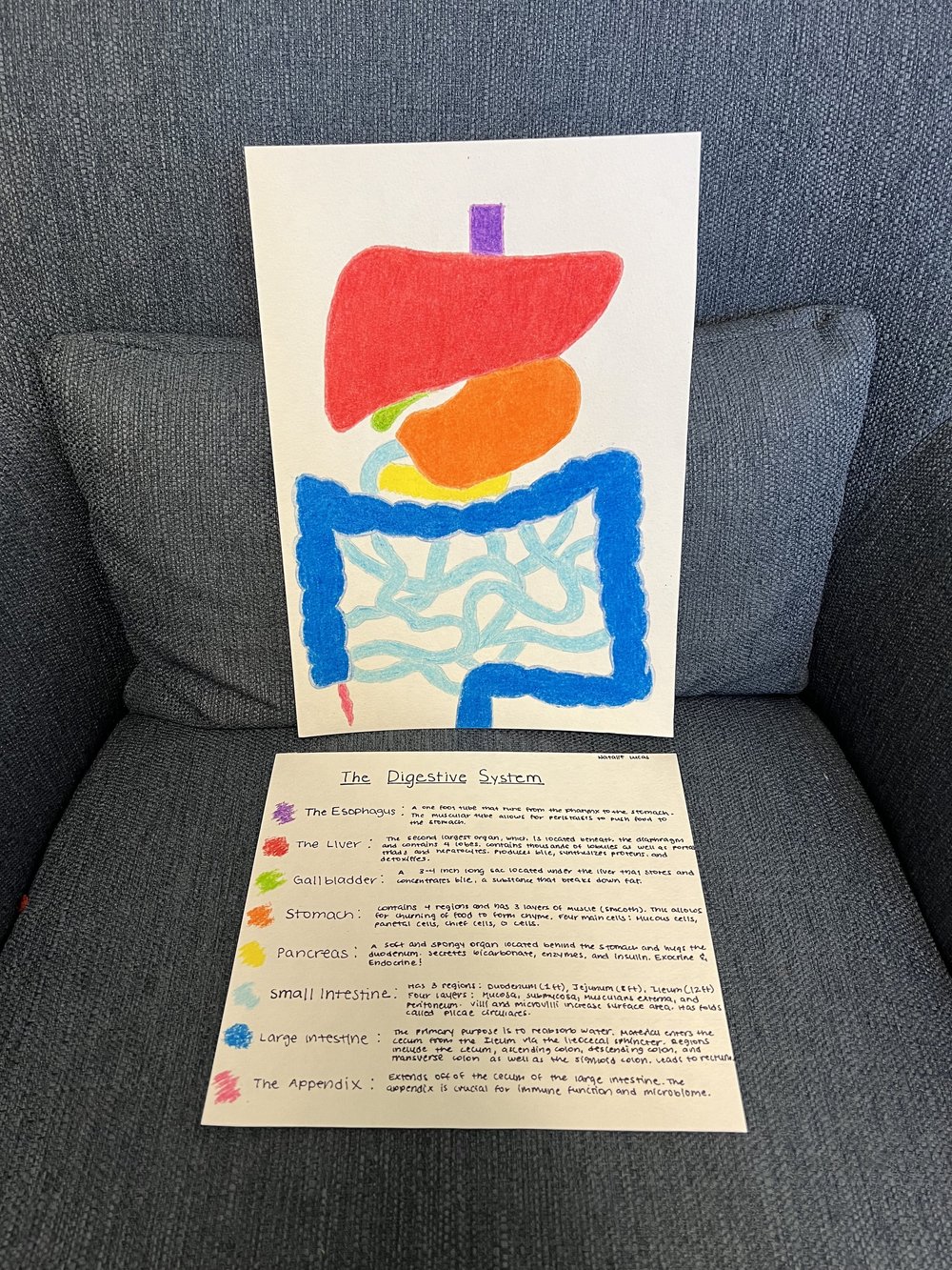 Student Not-Test project