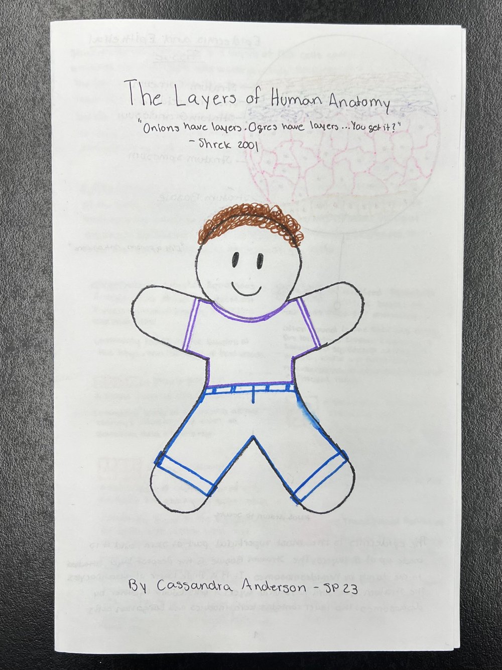 Layers of Human Body Story — Cass