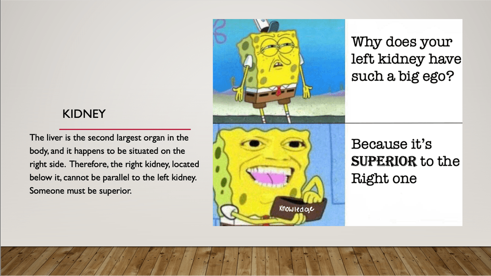 Kidney Meme — Tessa M