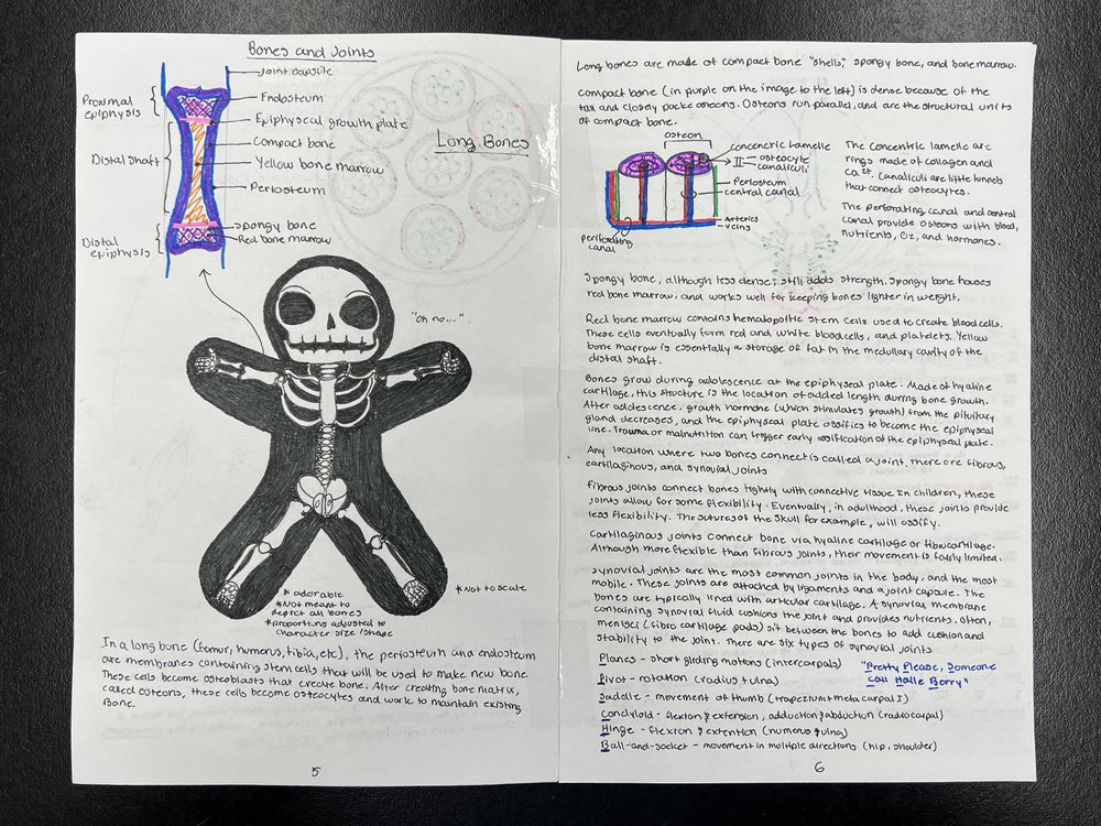 Layers of Human Body Story page 5-6 — Cass
